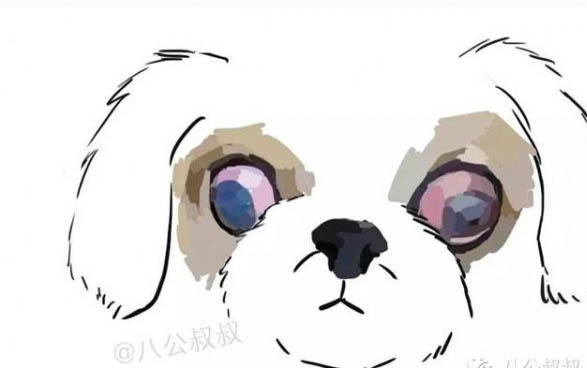 犬瘟癥狀有哪些表現