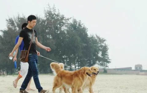 狗狗吃完驅蟲藥后多久拉蟲