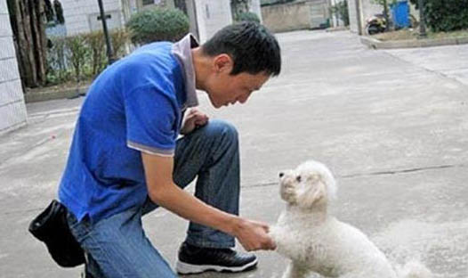 狗狗的臉部表情