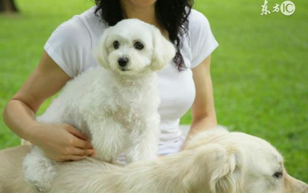 狗咬了一定要打疫苗嗎