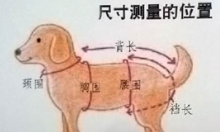 84消毒液對狗狗有傷害嗎