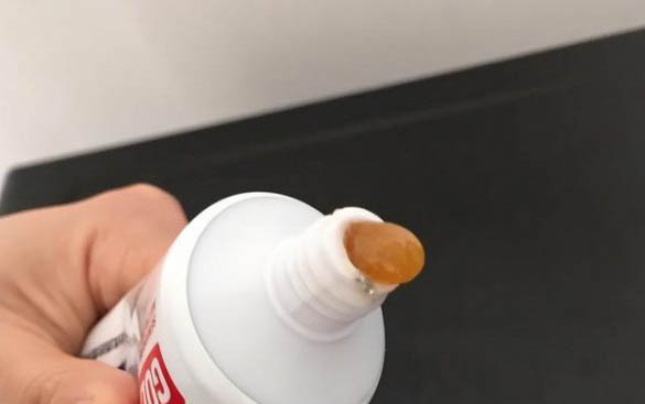 貓咪的性格特征