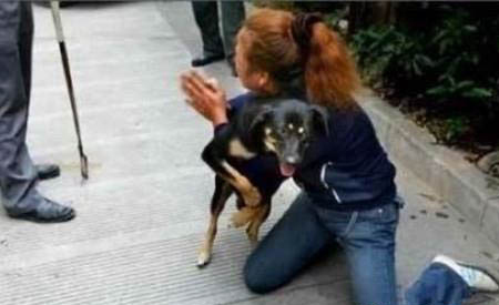 狗狗腎結石不能吃什么