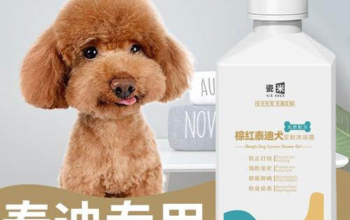 狗狗弓形蟲癥狀有哪些