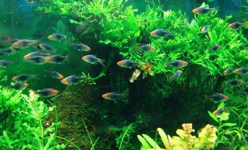 天氣熱好釣魚嗎