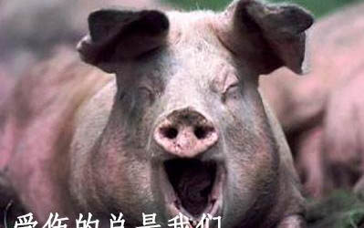 小狗狗尿多是什么原因