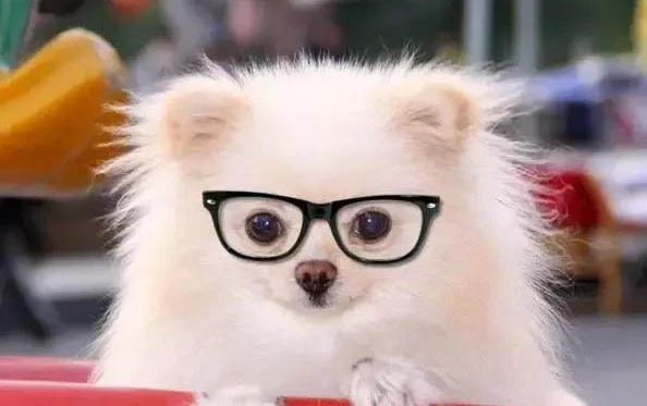 如何讓狗狗不叫不擾民