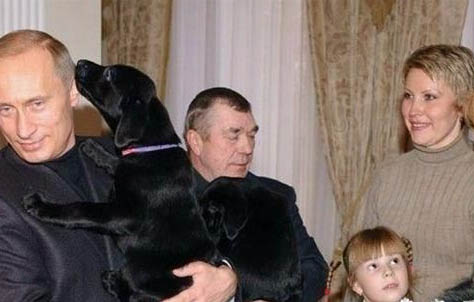 高加索犬突然不愛吃東西的原因是什么