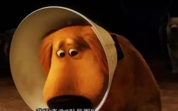 貓咪喝礦泉水會尿路結石嗎