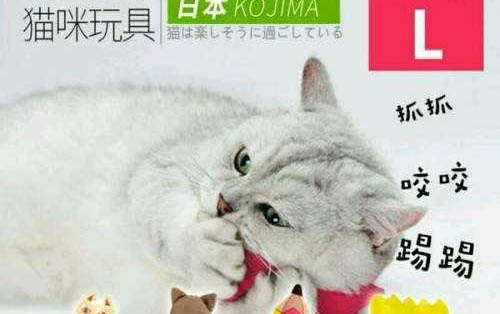 百合的味道對貓咪有什么危害？