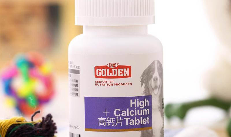 養狗身上癢癢的原因及處理方法