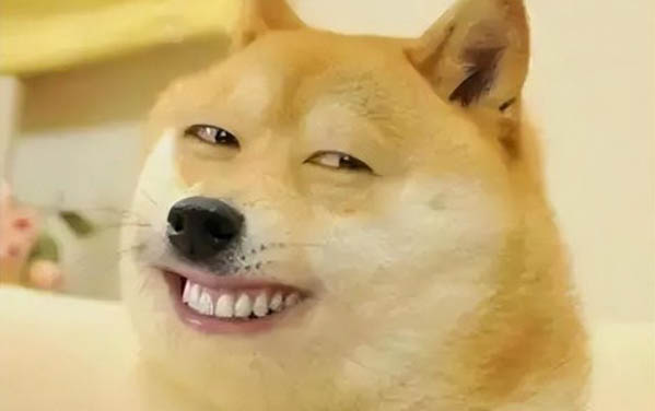 狗狗需要預防性的吃驅球蟲的藥嗎