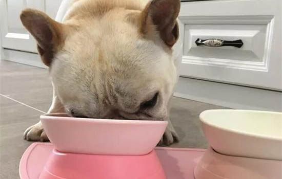 狗狗一直流淚怎么辦