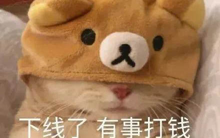 小貓吐了是什么原因引起的