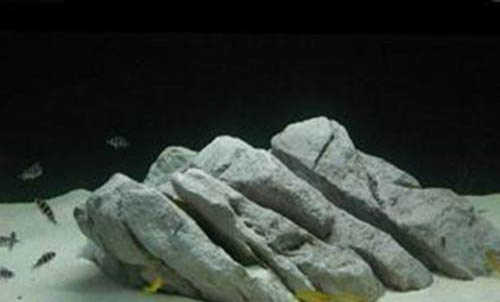 狗狗被魚刺卡喉嚨會(huì)怎么樣嗎