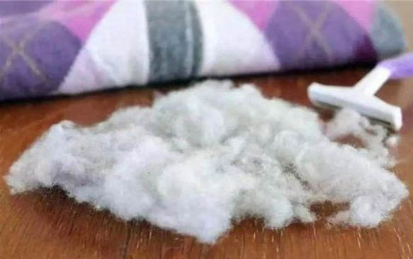 貓咪突然嘔吐白色泡沫沒精神