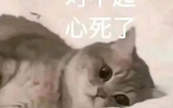 為什么貓咪突然會(huì)像瘋了一樣跑來(lái)跑去還咬人
