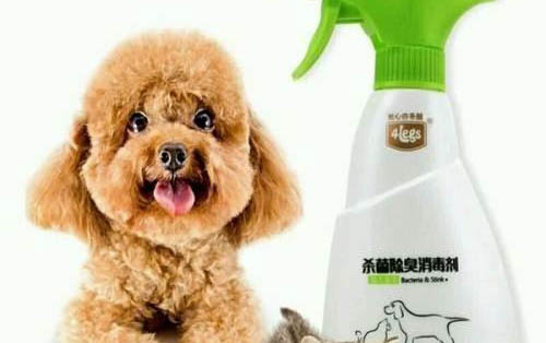 什么叫舔狗是什么意思