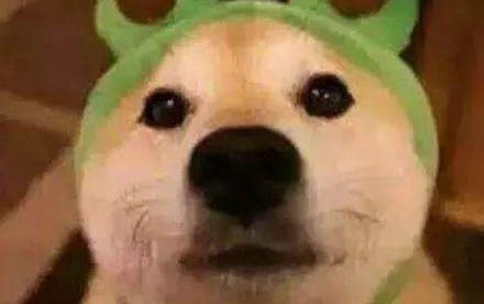 那么狗狗正常生產時間要多久呢？
