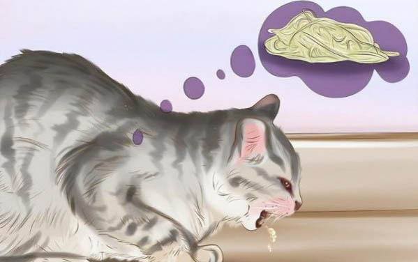貓鼻子干沒精神老睡覺