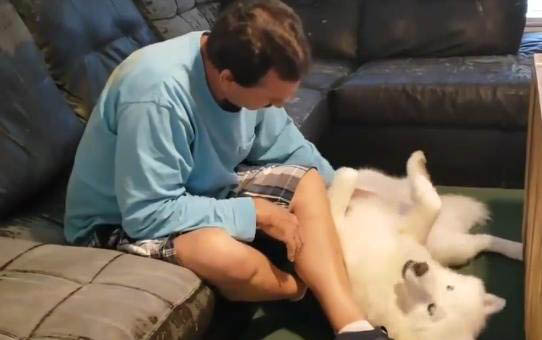 小狗老打噴嚏怎么回事啊