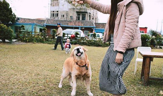 狗狗的眼角紅紅的
