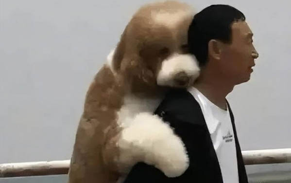 小狗熱感冒怎么辦？