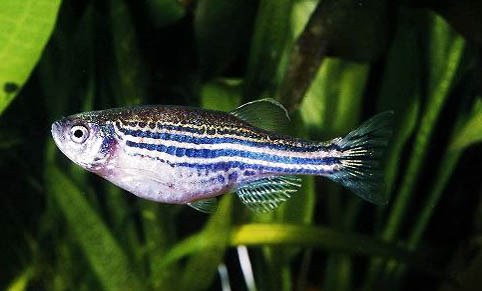 春天什么位置好釣魚