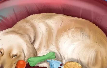 如何快速讓狗狗不亂叫？學(xué)會(huì)后能省去不少麻煩