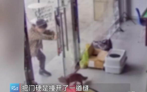 請問貓咪嘔吐的原因及處理方法?