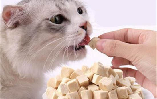 貓喉嚨呼呼響