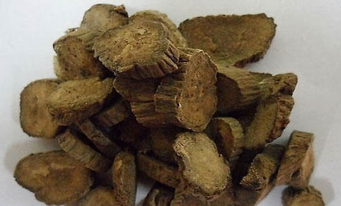 貓咪指甲掉了還能長(zhǎng)出來(lái)嗎