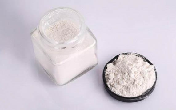 狗狗口腔護理的重要性
