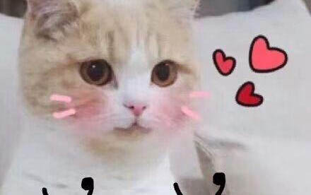 貓咪一直想吐又吐不出來的原因？