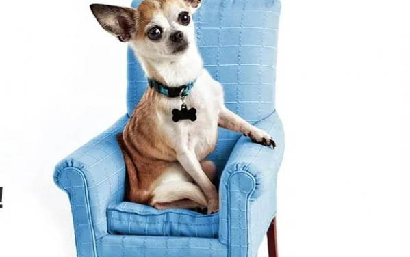 土狗為什么會自己回家呢？