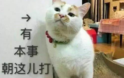 貓咪貧血能吃豬血嗎為什么呢