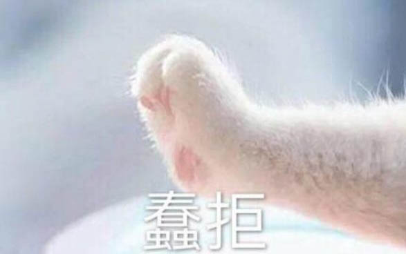 小貓爪子太尖了能剪嗎?