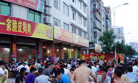 狗狗不吃不喝一直發抖是什么原因