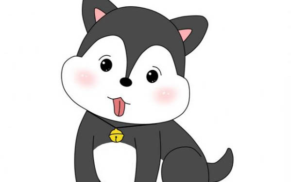 狗狗喝什么奶粉好