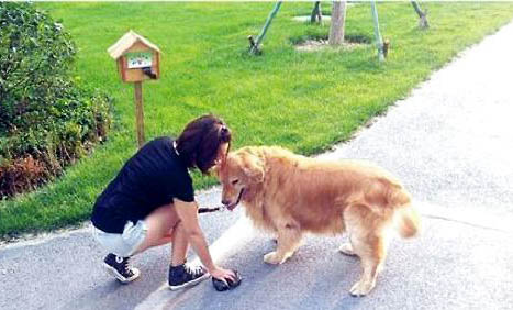 犬瘟多少天算撐過去了呢
