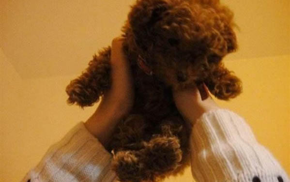 維茲拉犬哪里有售